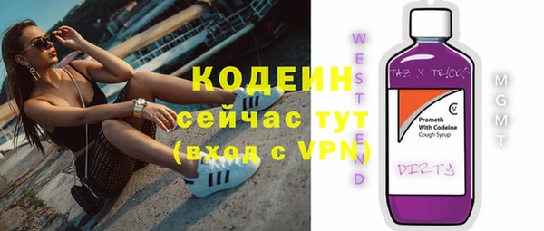 спиды Богородицк
