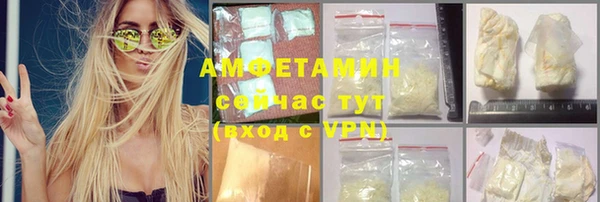 прущие грибы Беломорск