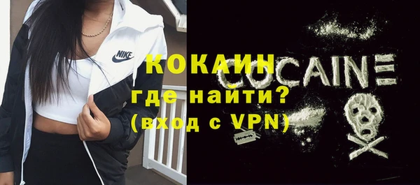 прущие грибы Беломорск
