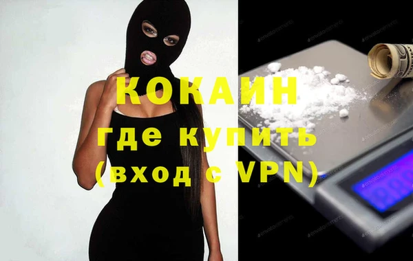 прущие грибы Беломорск