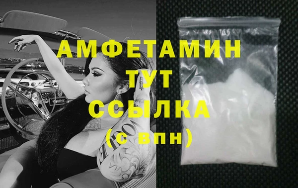 прущие грибы Беломорск